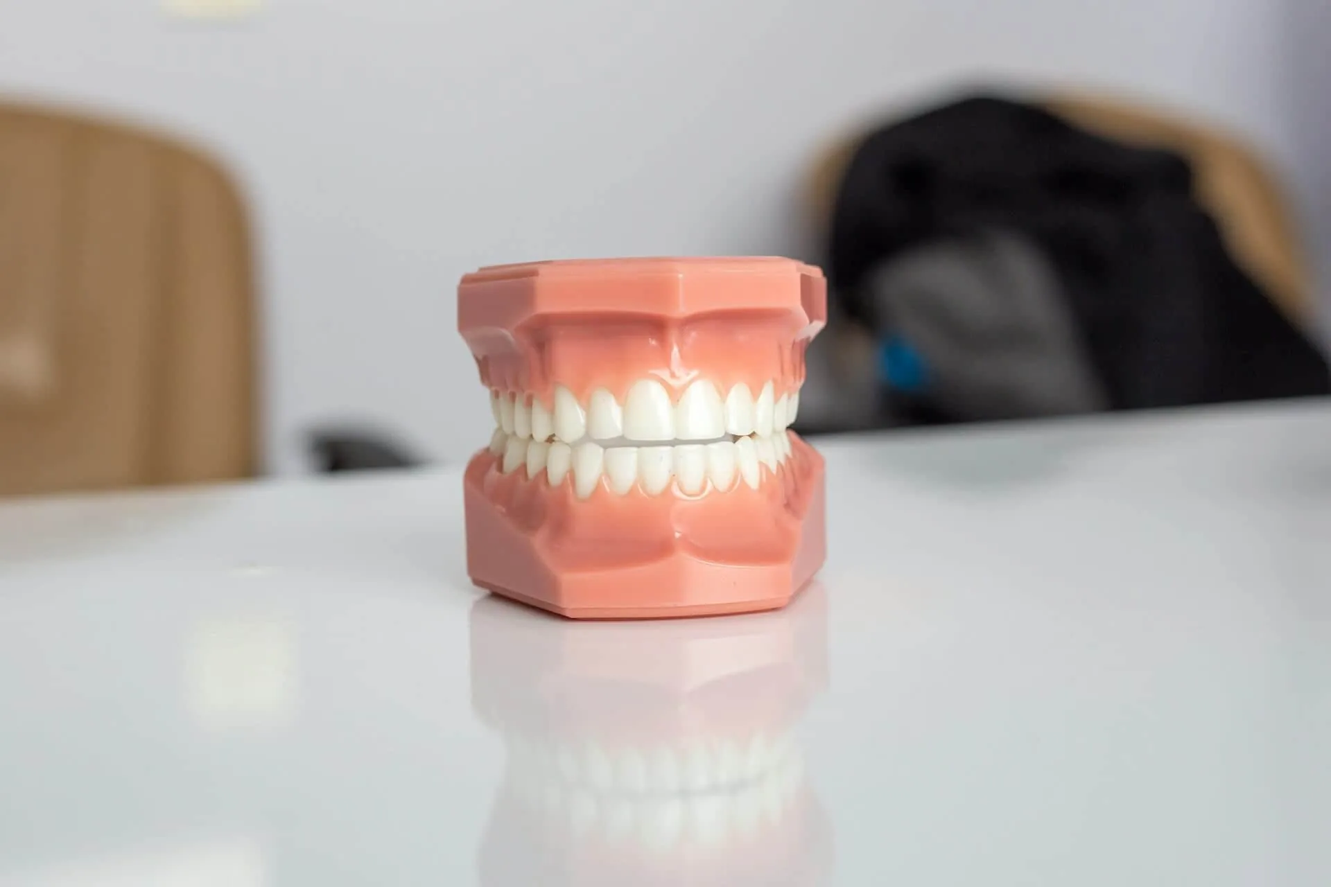 A sample of a complete teeth